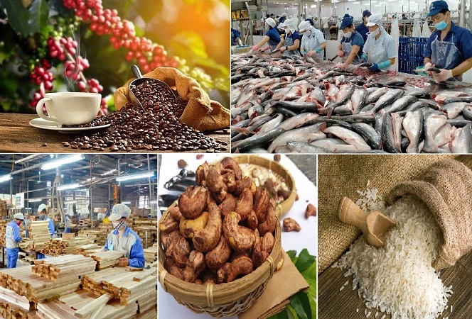 Vietnam's import-export turnover continues to increase